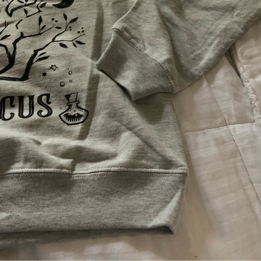 Hocus Pocus Gray Sweater - Picture 3 of 4